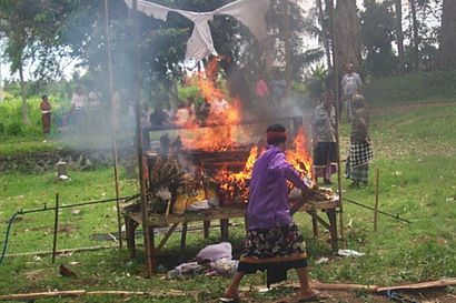 mekingsan ring geni