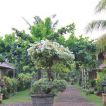 Hotel Aneka Lovina