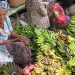 Banana (\"biu\" in Balinese)