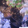 Pura Goa Lawah, Bat Cave Temple