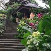 museum puri lukisan ubud