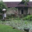 museum puri lukisan ubud