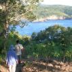 nusa ceningan trekking
