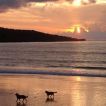 sunset artchen22