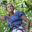 treetop