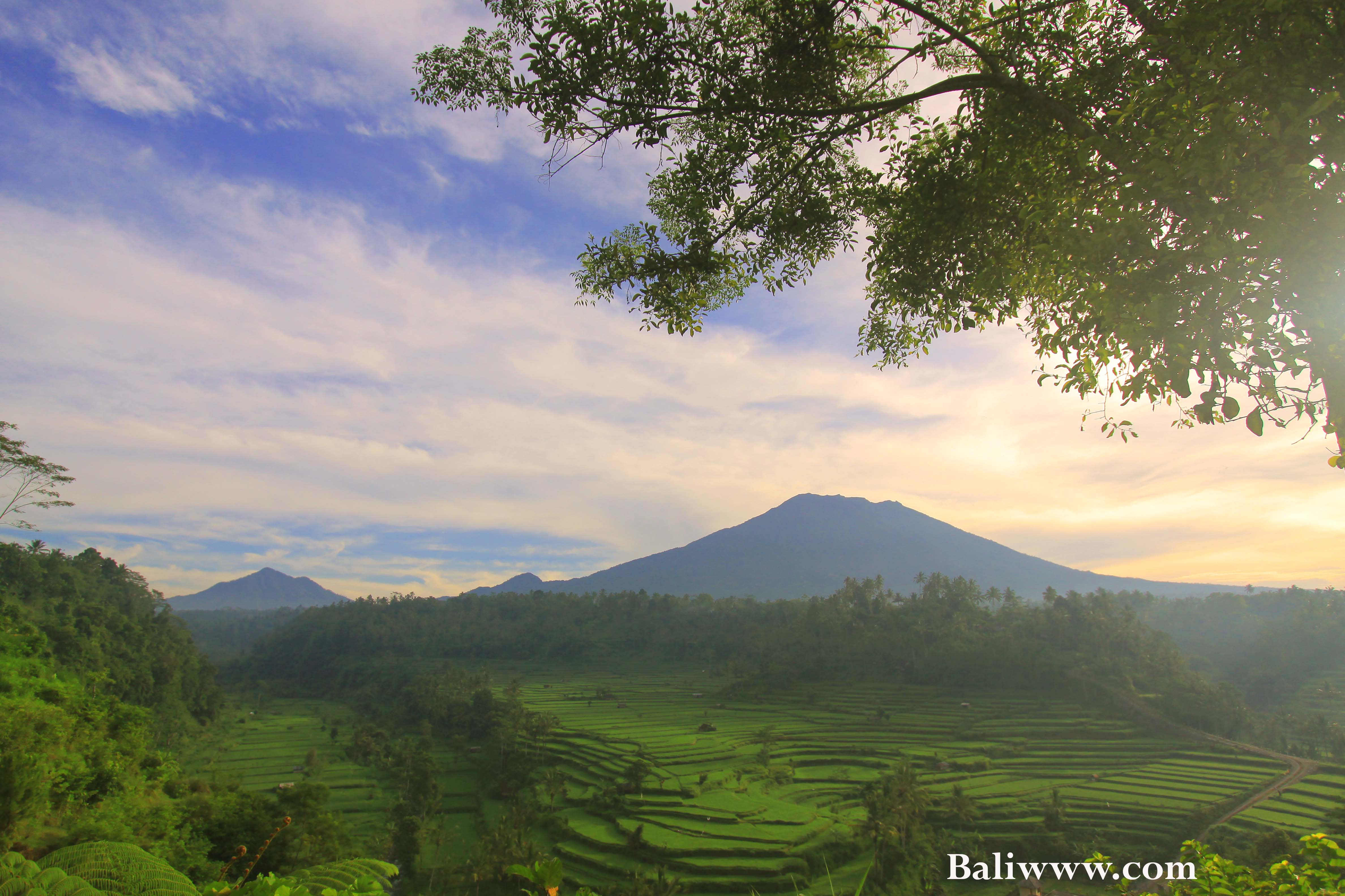 agung